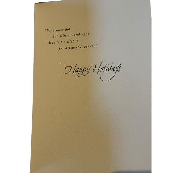 Hallmark Christmas Cards Boxed Set (18) Pinecone Winter Snow Holiday Envelopes - Picture 6 of 6